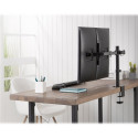 DIGITUS Dual Monitor Clamp Mount