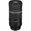 Canon EOS R8 + RF 600mm f/11 IS STM