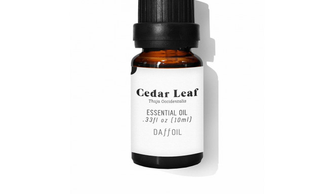 Ēteriskā Eļļa Daffoil Cedar Leaf Ciedrs 10 ml