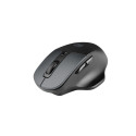 Optisk trådløs mus Natec BlackBird 2 1600 dpi