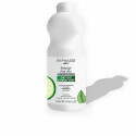 Purifying Shampoo Byphasse Family Fresh Delice Lime Greasy Hair Green Tea (750 ml) Purifying Shampoo Byphasse Family Fresh Delice Lime Greasy Hair Green Tea (750 ml)