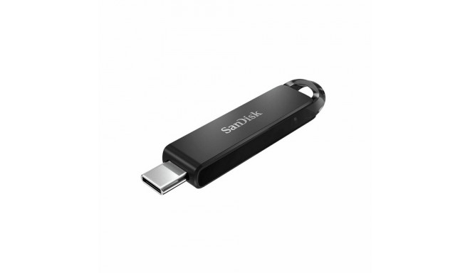 USB Zibatmiņa SanDisk SDCZ460-256G-G46