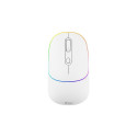 TRACER RATERO RF 2.4 Ghz white mouse