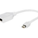 GEMBIRD A-MDPM-DPF-001-W Gembird adapter Displayport mini(M) -> Displayport(N), valge, kaabliga 10cm