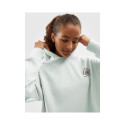 4F Jr sweatshirt 4FJAW23TSWSF642-41S (158)