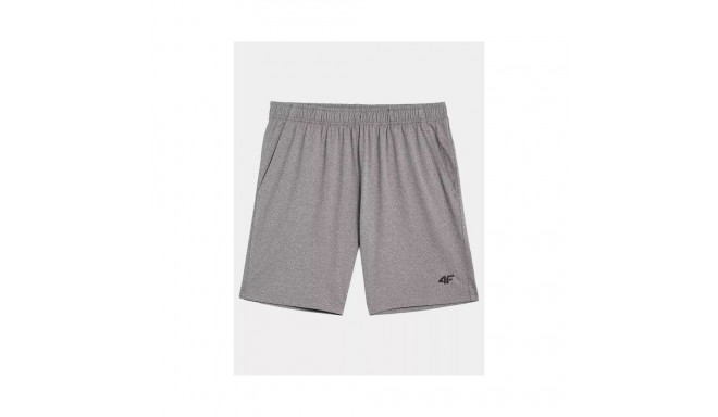 4F M shorts 4FAW23TFSHM299-27M (M)