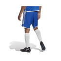 Adidas Tiro 23 Competition Match M shorts HT6595 (S (173cm))