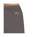 Adidas Entrada 22 W shorts HH9995 (S)