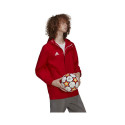 adidas meeste jope Entrada 22 All Weather M IK4009 (L)
