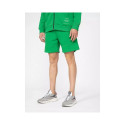 4F men's shorts M 4FSS23TSHOM059-41S (L)