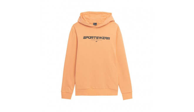 4F M266 M 4FSS23TSWSM266 64S sweatshirt (L)