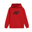 4F laste dressipluus Jr. 4FJSS23TSWSM220 62S (122cm)