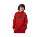 4F laste dressipluus Jr. 4FJSS23TSWSM220 62S (122cm)