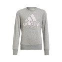 adidas sweatshirt Big Logo Swt Jr HM8706 134cm adidas sweatshirt Big Logo Swt Jr HM8706 134cm