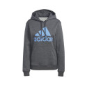 Sweatshirt adidas Big Logo FL R HD W IC9845 (XS)