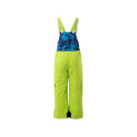 Ski pants Bejo Halvar Jr 92800439456 (128)