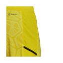 Goalkeeper shorts adidas Condivo 22 M HF0141 (S)