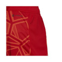 Goalkeeper shorts adidas Condivo 22 M H18814 (S)