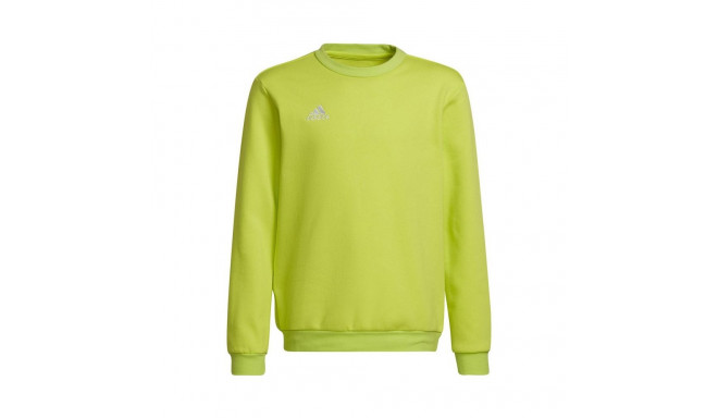 Adidas Entrada 22 Sweat Top Jr HC5043 sweatshirt (164cm)