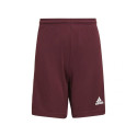 Adidas Squadra 21 Short Jr GN8081 (152cm)