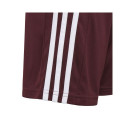 Adidas Squadra 21 Short Jr GN8081 (176cm)