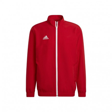 Adidas Entrada 22 Presentation Jacket M H57536 sweatshirt (M)