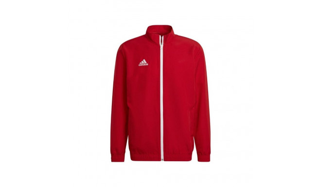 Adidas Entrada 22 Presentation Jacket M H57536 sweatshirt (L)