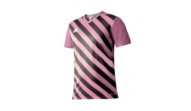 adidas Entrada 22 Graphic Jersey Jr HC2632 (164 cm)