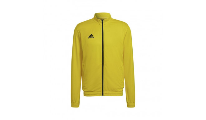Adidas Entrada 22 Track Jacket M HI2134 sweatshirt (XL)