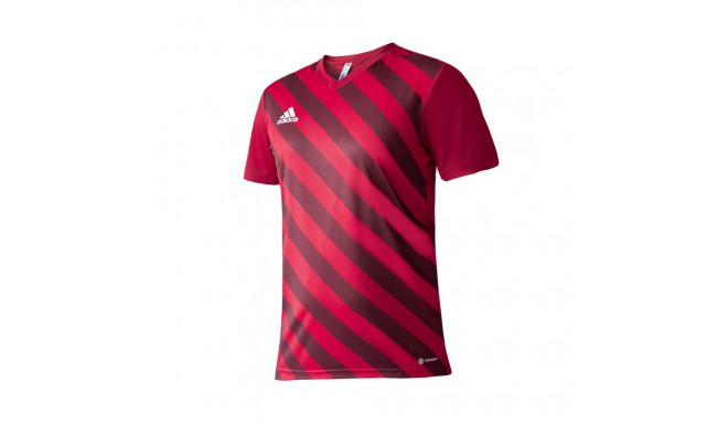 Adidas Entrada 22 Graphic Jersey Jr.H58983 (128 cm)