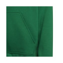 adidas sweatshirt Entrada 22 Hoody Y Jr HI2143 116cm