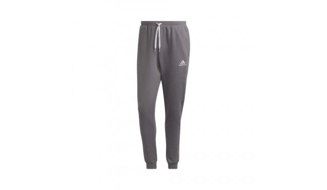 Adidas Entrada 22 Sweat M H57531 pants (L)