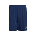 Adidas Entrada 22 M H57506 shorts (S)