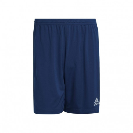 Adidas Entrada 22 M H57506 shorts (XL (188cm))