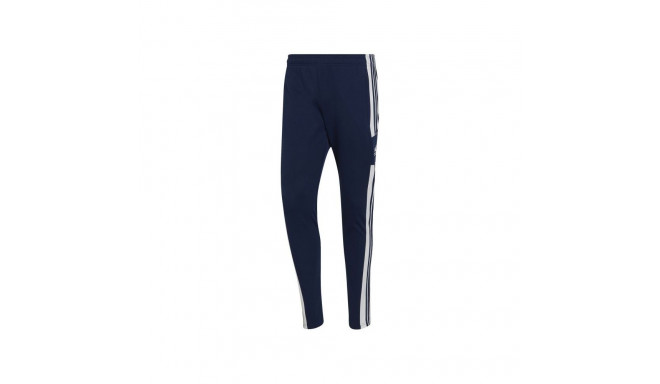 Adidas Squadra 21 M HC6273 training pants (S (173cm))