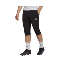Pants adidas Entrada 22 3/4 Panty M HB0576 (XXXL)
