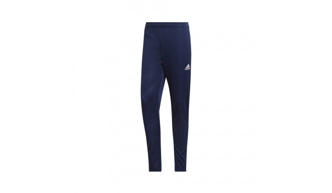 Adidas Entrada 22 Training Panty M HC0333 (M)