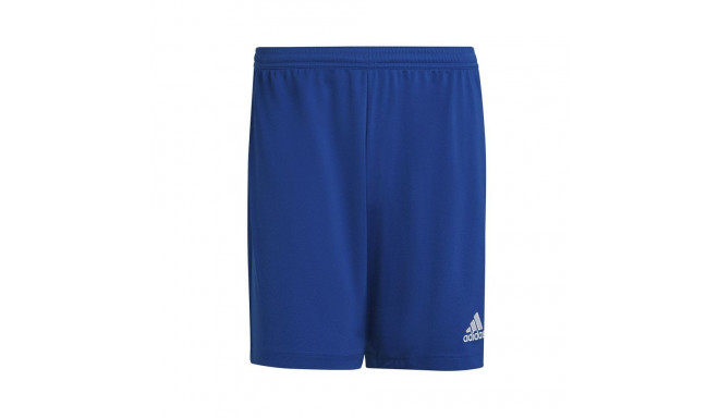 Adidas Entrada 22 M HG6294 shorts (XL)