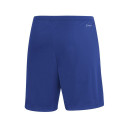 Adidas Entrada 22 M HG6294 shorts (XL)