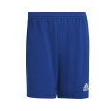 Adidas Entrada 22 M HG6294 shorts (L)