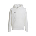 adidas sweatshirt Entrada 22 Hoody Jr HG6303 152cm