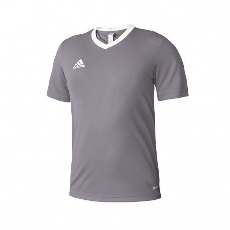 Adidas Entrada 22 Jsy Jr T-shirt H57499 (128cm)