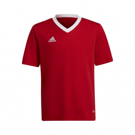 Adidas Entrada 22 Jsy Jr T-shirt H57496 (116cm)