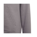 adidas sweatshirt Entrada 22 Hoody Jr H57515 164cm