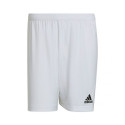 Adidas Entrada 22 M HG6295 shorts (2 XL)