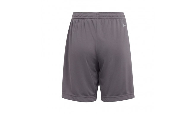 Adidas Entrada 22 Jr H57507 shorts (116 cm)