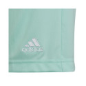 Adidas Entrada 22 Jr HC5058 shorts (152cm)