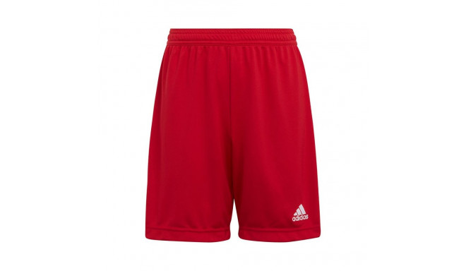 Adidas Entrada 22 Jr H57501 shorts (176cm)