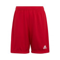 Adidas Entrada 22 Jr H57501 shorts (140 cm)