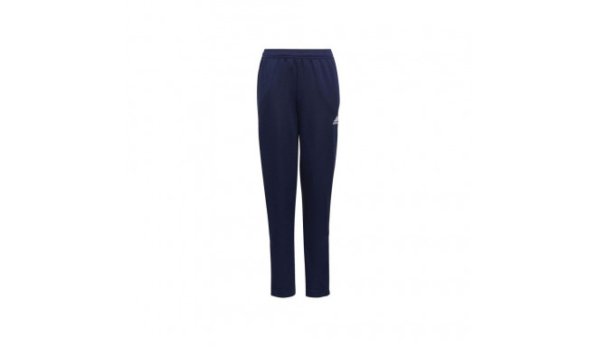 Adidas Entrada 22 Jr HC0336 pants (152)